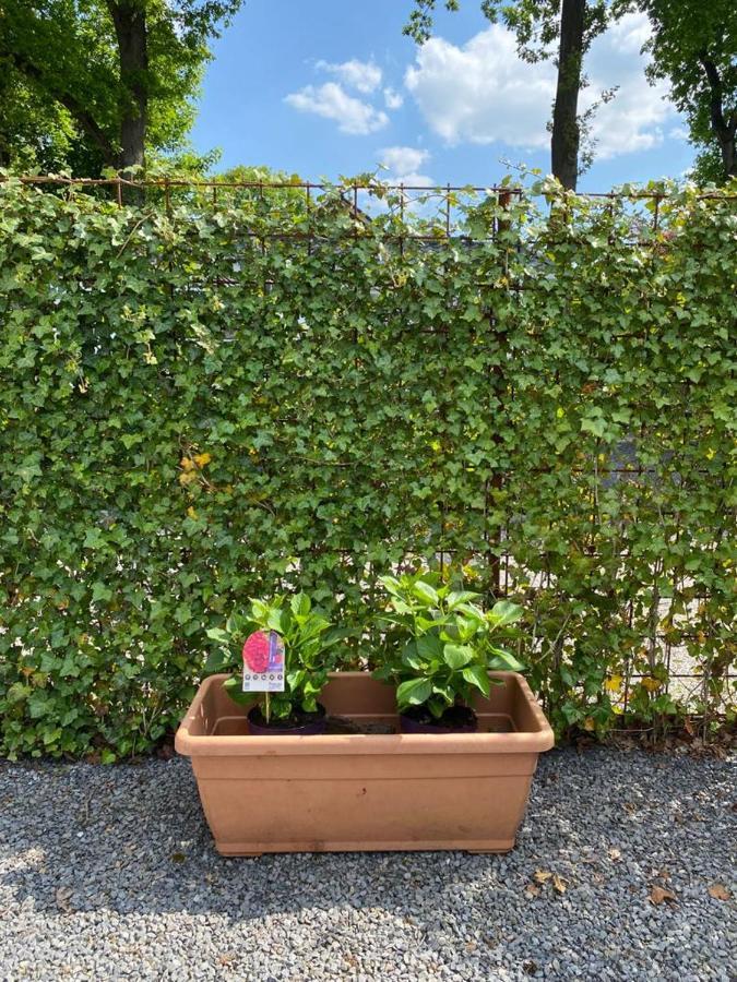 Chalet Valkenbosch Groenvink 85 Oisterwijk Eksteriør billede